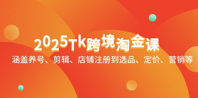 （14638期）2025Tk跨境淘金课：涵盖养号、剪辑、店铺注册到选品、定价、营销等-优优云网创