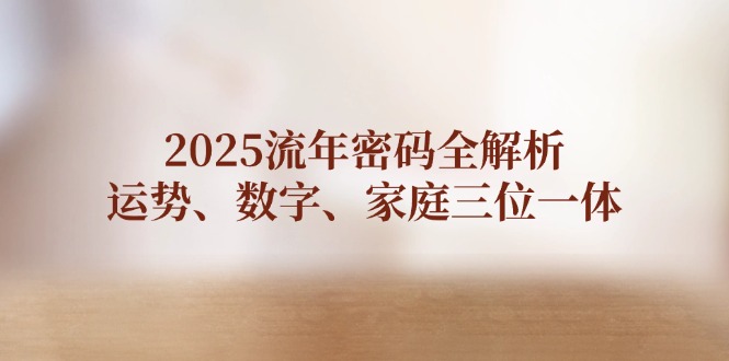 （14466期）2025流年密码全解析，运势、数字、家庭三位一体-优优云网创
