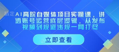 AI高阶自媒体项目实操课，讲透账号运营底层逻辑，从发布视频到规避违规一网打尽-优优云网创