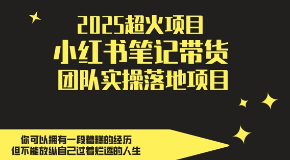 2025超火项目，副业最佳选择，小红书笔记带货团队实操落地项目，，轻松日入5张-优优云网创