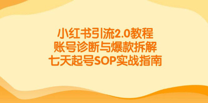 （14981期）小红书引流2.0教程，账号诊断与爆款拆解，七天起号SOP实战指南-优优云网创