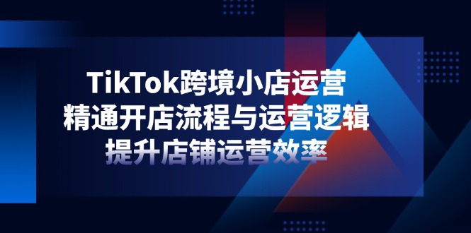 （14369期）TikTok跨境小店运营，精通开店流程与运营逻辑，提升店铺运营效率-优优云网创