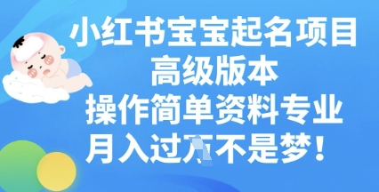 小红书宝宝起名项目高级版本，操作简单，资料专业，月入过W-优优云网创