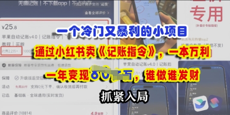 一个冷门需求，通过小红书卖《记账指令》，一本万利，谁做谁发，抓紧入局-优优云网创
