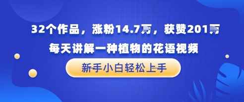 32个作品，涨粉14.7W，获赞201W，每天讲解一种植物的花语视频，无需任何技巧，新手小白轻松上手-优优云网创
