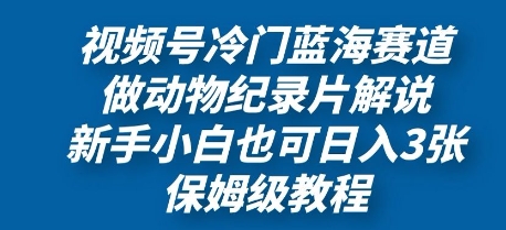 视频号冷门蓝海赛道，做动物纪录片解说，新手小白也日入3张，保姆级教程-优优云网创