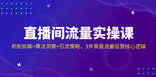 （14122期）直播间流量实操课：机制拆解+算法洞察+引流策略，3步掌握流量运营核心逻辑-优优云网创