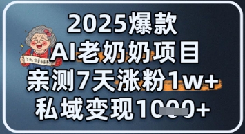 2025爆款 AI 老奶奶项目：亲测 7 天涨粉 1W+，私域变现 1k+-优优云网创