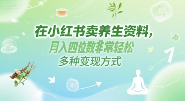 在小红书卖养生资料，月入四位数非常轻松，多种变现方式-优优云网创