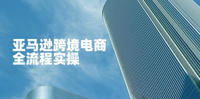 （14252期）亚马逊跨境电商全流程实操，教你从零开始，掌握店铺运营与广告技巧-优优云网创