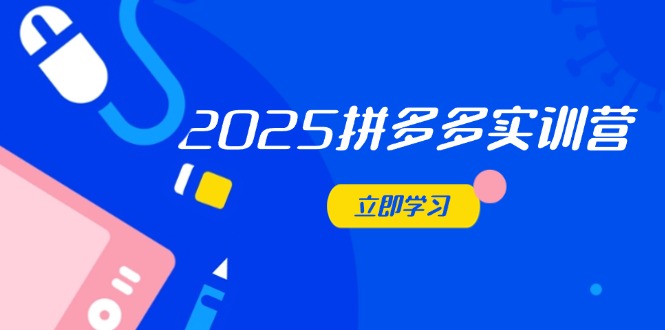 （14531期）2025拼多多实训营：深度剖析运营关键，助力电商人快速提升-优优云网创