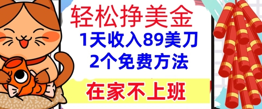 在家不上班，轻松挣美金， 1天收入89美刀，2个免费方法，懒人捡钱-优优云网创