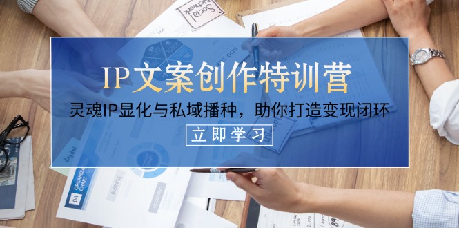 （14330期）IP文案创作特训营，灵魂IP显化与私域播种，助你打造变现闭环（14节课）-优优云网创