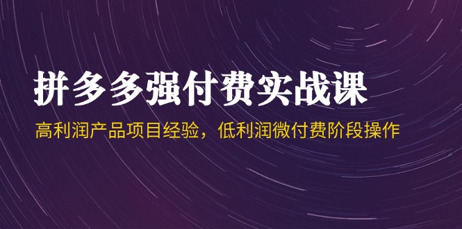 （14874期）拼多多强付费实战课-44期，高利润产品项目经验，低利润微付费阶段操作-优优云网创