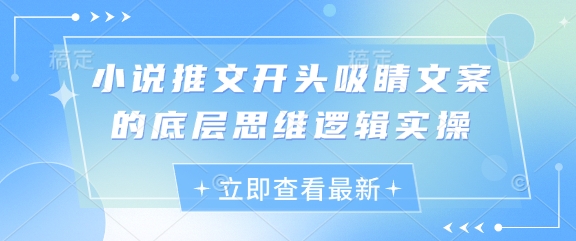 小说推文开头吸睛文案的底层思维逻辑实操-优优云网创