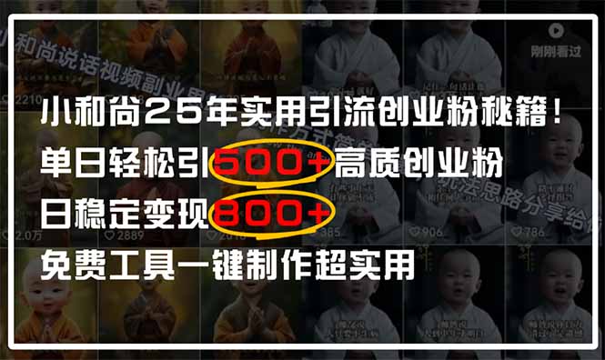 （14436期）小和尚2025年实用引流秘籍！单日轻松引500+高质量创业粉，日变现800+，…-优优云网创