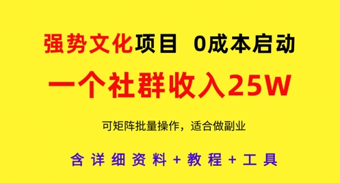 强势文化项目，一个社群收入25个W，0成本启动，可矩阵批量操作，原创详细实操教程-优优云网创