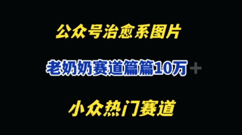 公众号老奶奶治愈系流量主，篇篇10W+-优优云网创