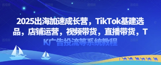 2025出海加速成长营，TikTok基建选品，店铺运营，视频带货，直播带货，TK广告投流等系统教程-优优云网创