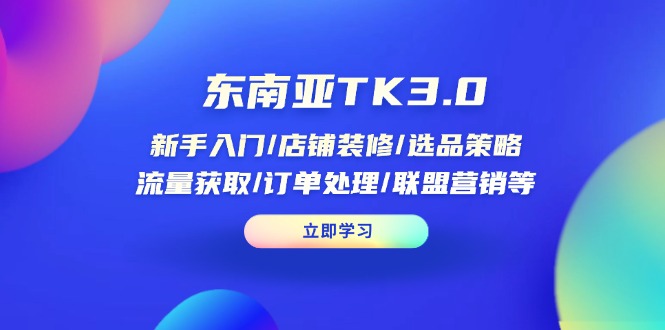（14208期）东南亚TK3.0：新手入门/店铺装修/选品策略/流量获取/订单处理/联盟营销等-优优云网创