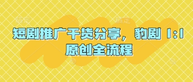 短剧推广干货分享，豹剧 1:1原创全流程-优优云网创
