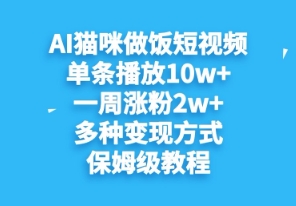 AI猫咪做饭短视频，单条播放10w+，一周涨分2w+，多种变现方式，保姆级教程-优优云网创
