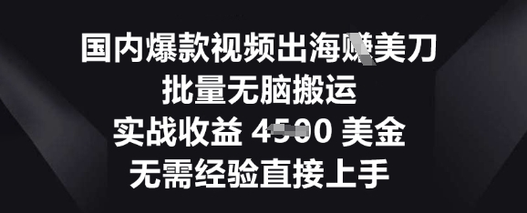 国内爆款视频出海挣美刀，批量无脑搬运，实战收益4.5k，无需经验直接上手-优优云网创
