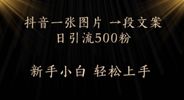 每天2分钟，抖音一张图片 一段文案日引流500粉-优优云网创