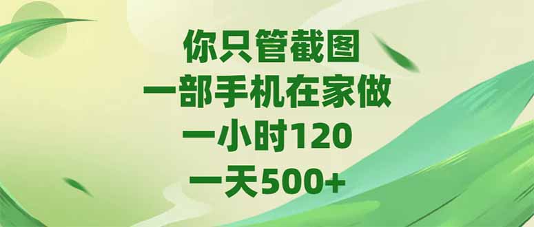 （15039期）你只管截图，一部手机在家做，一小时120，-天500+-优优云网创