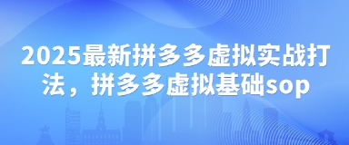 2025最新拼多多虚拟实战打法，拼多多虚拟基础sop-优优云网创