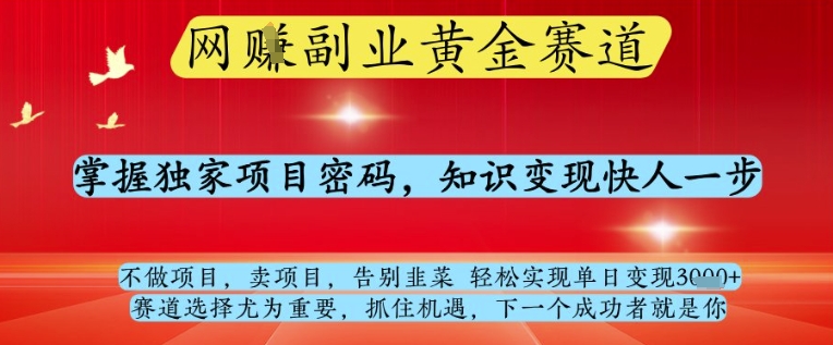 网创副业黄全赛道，掌握独家项目密码，知识变现快人一步，告别韭菜轻松实现单日变现1k+【揭秘】-优优云网创
