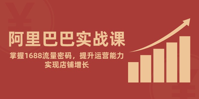 （14830期）阿里巴巴实战课：掌握1688流量密码，提升运营能力，实现店铺增长-优优云网创