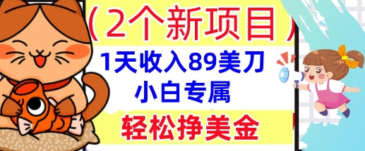 2个新项目，轻松挣美金， 1天收入89美刀，小白专属，干货分享-优优云网创