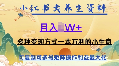 在小红书上卖养生资料，月入1w+，多种变现方式一本万利的小生意-优优云网创