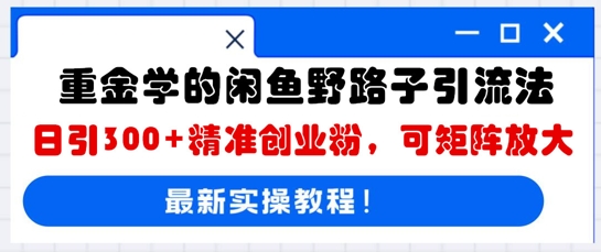 重金学的闲鱼野路子引流法，日引300+精准创业粉，可矩阵放大-优优云网创