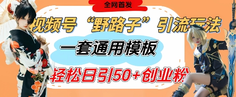 视频号“野路子”玩法，评论区疯狂截流，一套模板单日单号引流50+创业粉-优优云网创