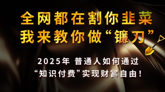 全网都在割你韭菜，我来教你做镰刀，2025普通人如何通过知识付费，实现财F自由【揭秘】-优优云网创