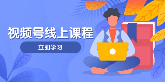 （14360期）视频号实战课程，轻IP打造与运营技巧，掌握核心方法与策略-优优云网创