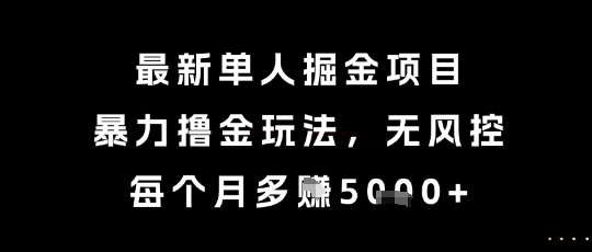 最新单人掘金项目，暴力撸金玩法，无风控，每个月多挣5k+【揭秘】-优优云网创