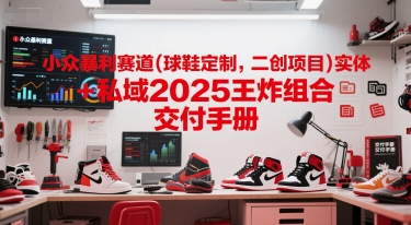 小众暴利赛道(球鞋定制，二创项目)实体+私域2025王炸组合  交付手册-优优云网创