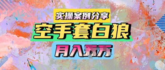 空手套白狼，月入过1W，实操案例分享-优优云网创