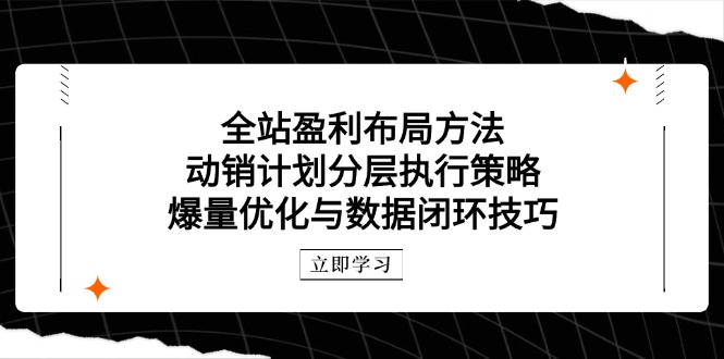 （14698期）全站盈利布局方法：动销计划分层执行策略，爆量优化与数据闭环技巧-优优云网创
