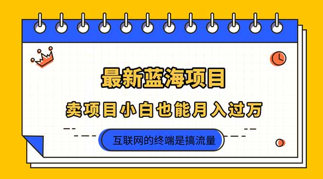 （14289期）2025年最新蓝海项目，卖项目小白也能月入过万-优优云网创