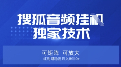 【搜狐音频挂G】独家技术，可矩阵可放大，红利期稳定月入8k【揭秘】-优优云网创