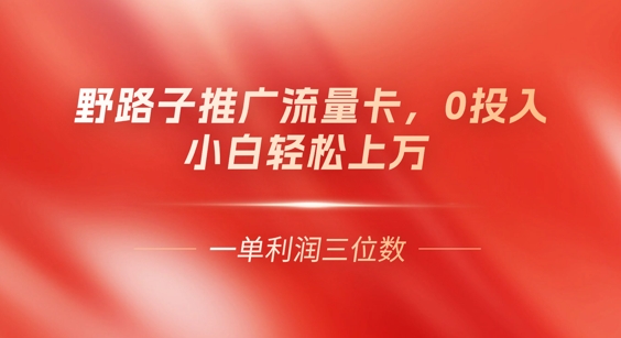 0门槛推广流量卡，一单收益上百，0投入，小白月入过W-优优云网创