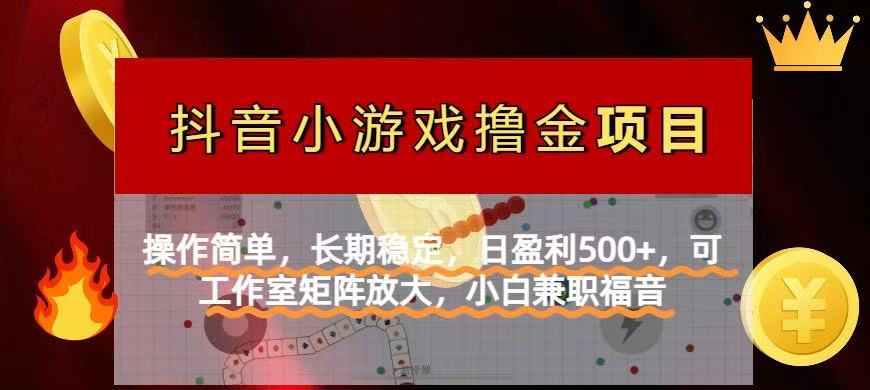 （14290期）【抖音小游戏发行人计划项目】操作简单，长期稳定，日盈利500+，可工作…-优优云网创