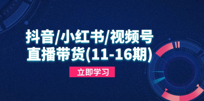 （14611期）抖音/小红书/视频号/直播带货(11-16期)，快速掌握平台规则，打造爆款内容-优优云网创