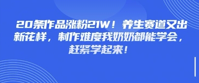 20条作品涨粉21W！养生赛道又出新花样，制作难度我奶奶都能学会，赶紧学起来-优优云网创