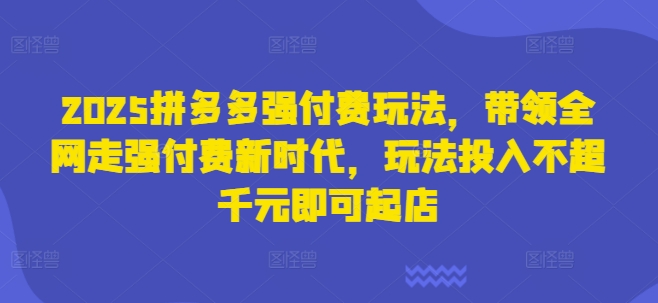 2025拼多多强付费玩法，带领全网走强付费新时代，玩法投入不超千元即可起店-优优云网创