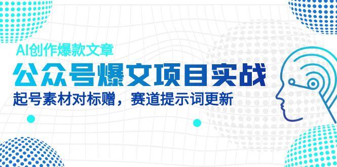 （14709期）公众号爆文项目实战，AI创作爆款文章，起号素材对标赠（附赛道AI提示词）-优优云网创